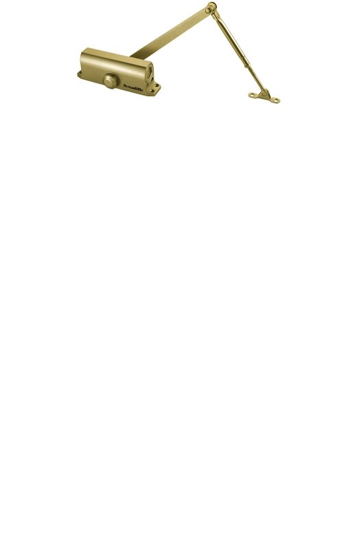 Доводчик Armadillo (Армадилло) дверной морозостойкий LY3 65 кг (золото)